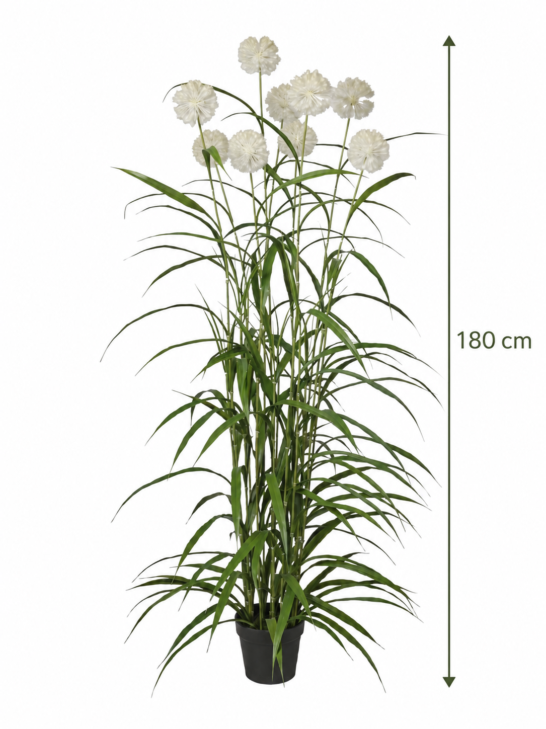 Art. Pianta Agapanthus X9 180cm - Cream