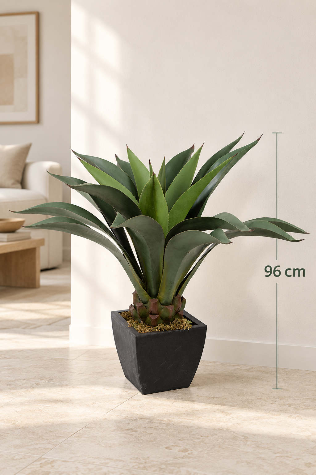 Art. Pianta Agave Attenuata In Vaso 96cm
