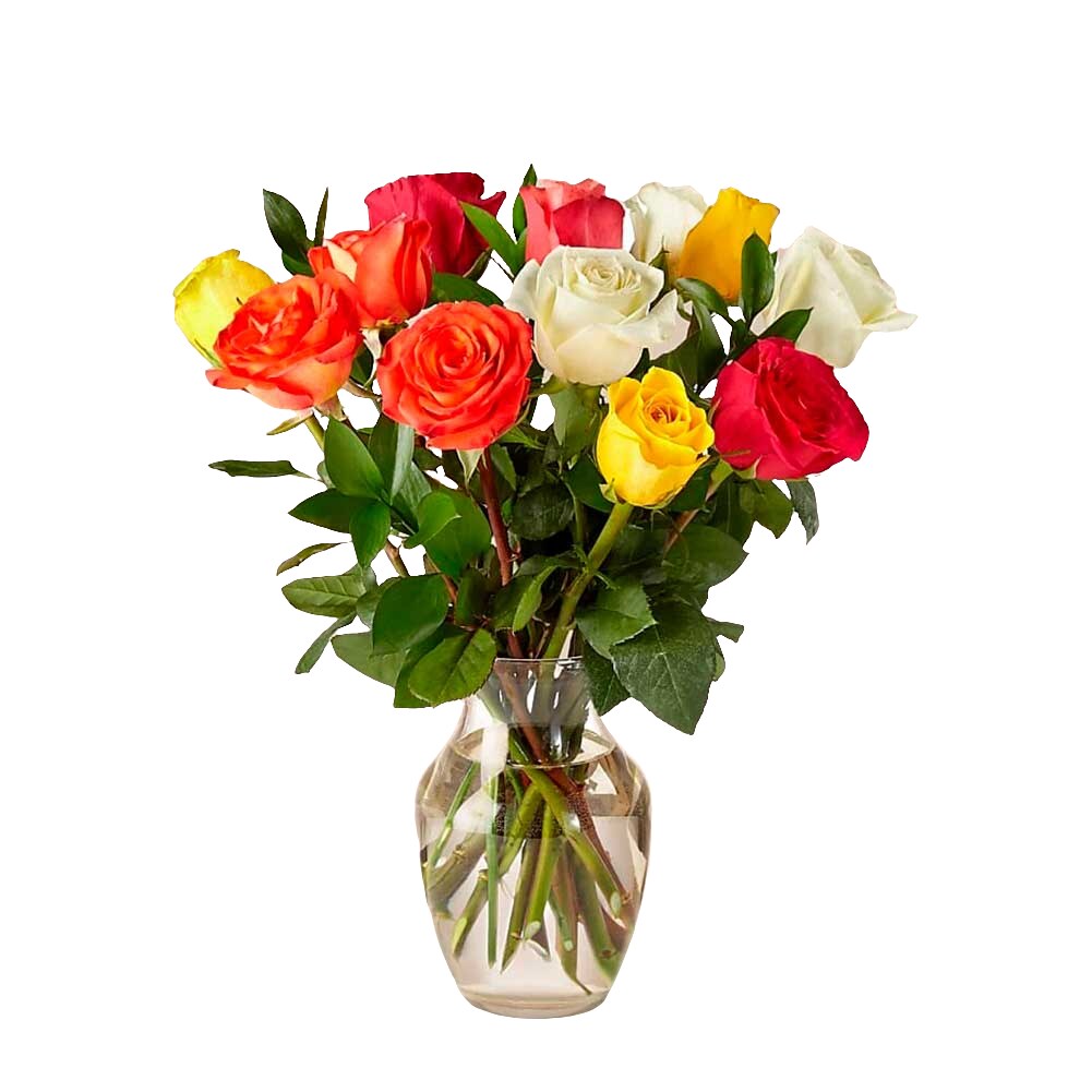 Rosa Ec Mix In Water