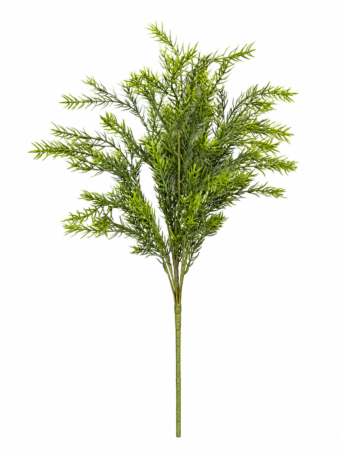 Art. Mazzo V Asparagus Bush 60cm - Green Red