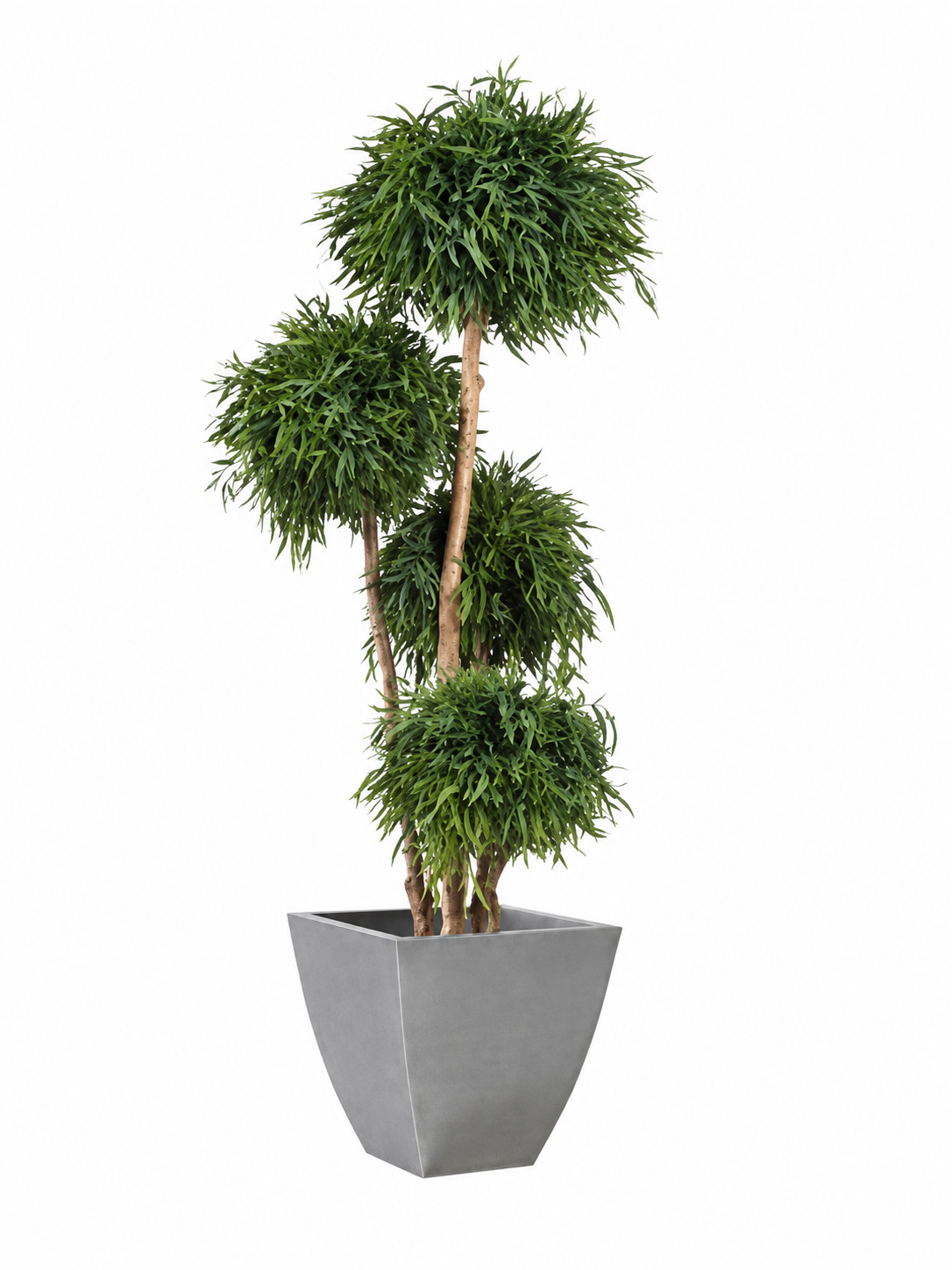 Preserved - Albero Nicoly 4 Spheres 180cm Green