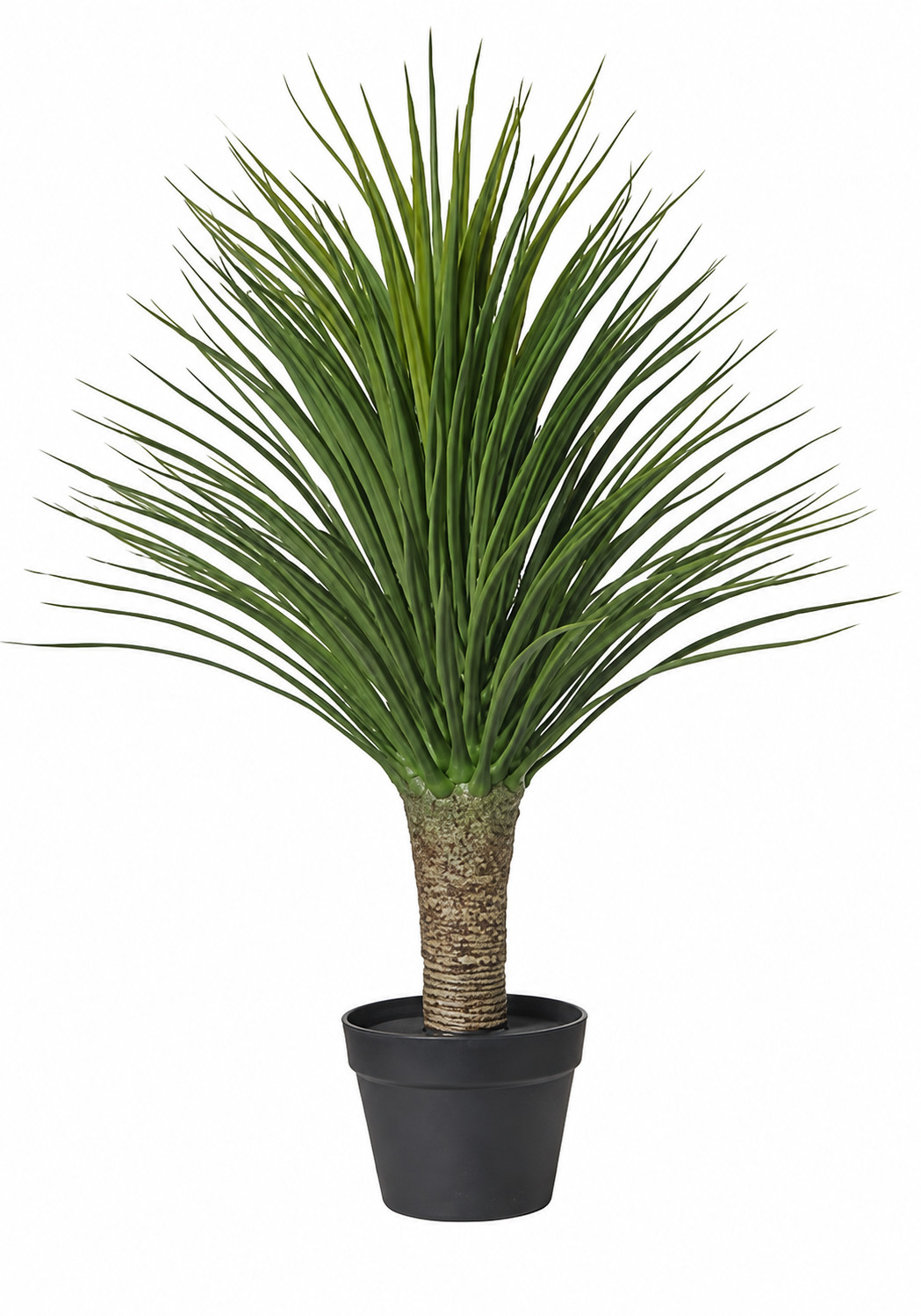 Art. Pianta Aloe C-vaso Cm85