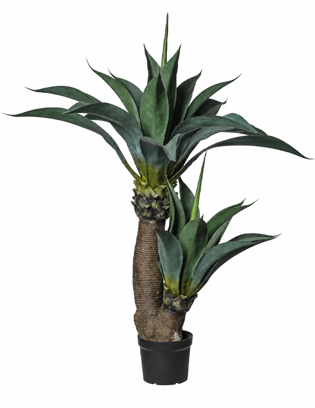 Art. Pianta Agave X2 Cm140 In Vaso