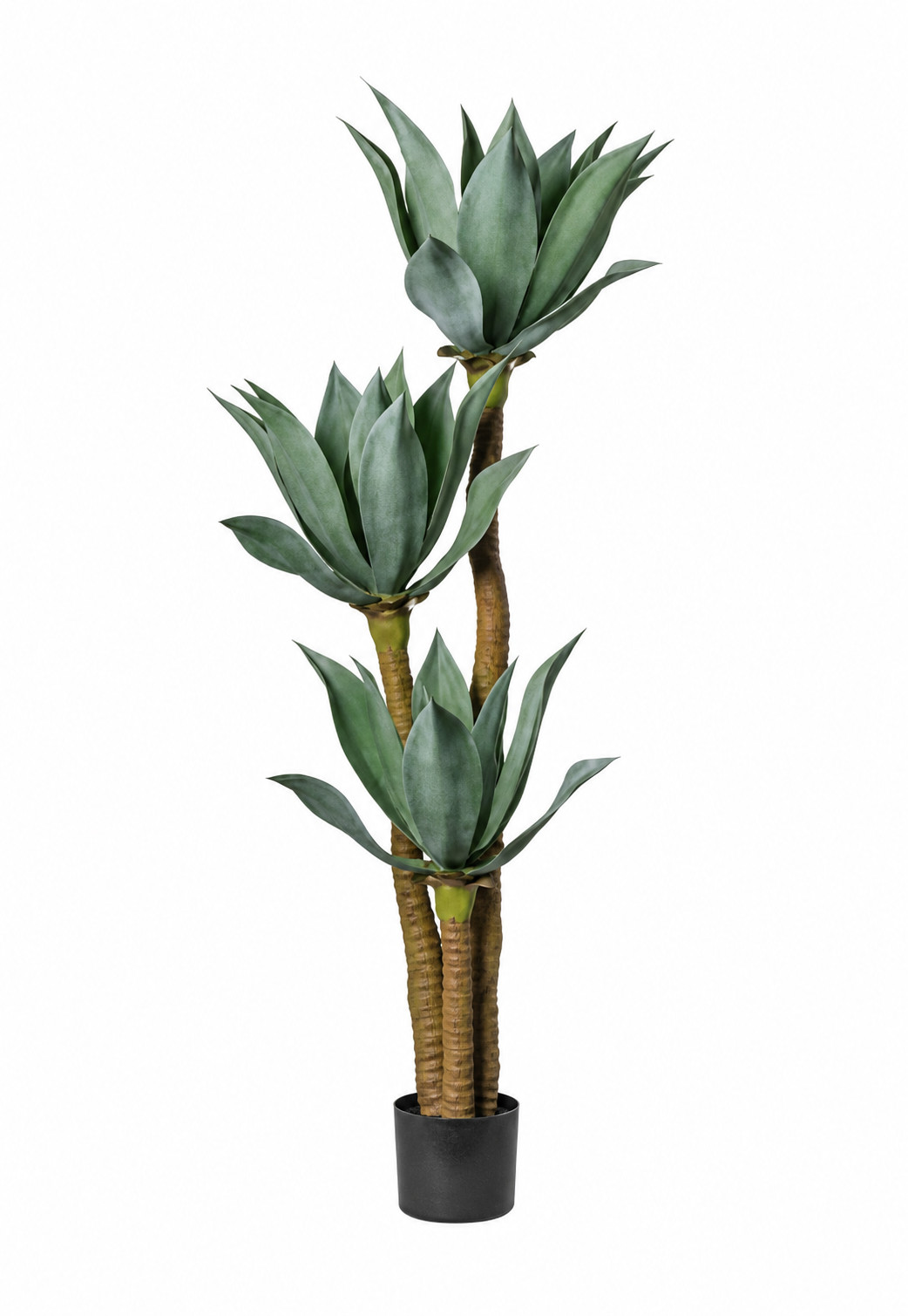 Art. Pianta Agave X3 In Vaso 150cm