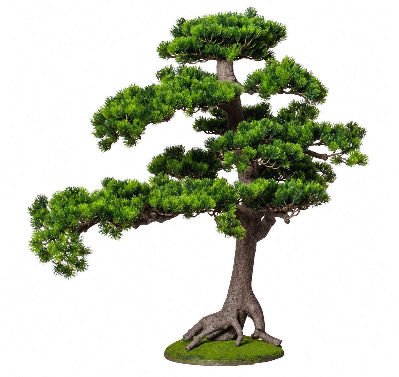 Art. Pianta Bonsai Pino 95x50x80cm Green