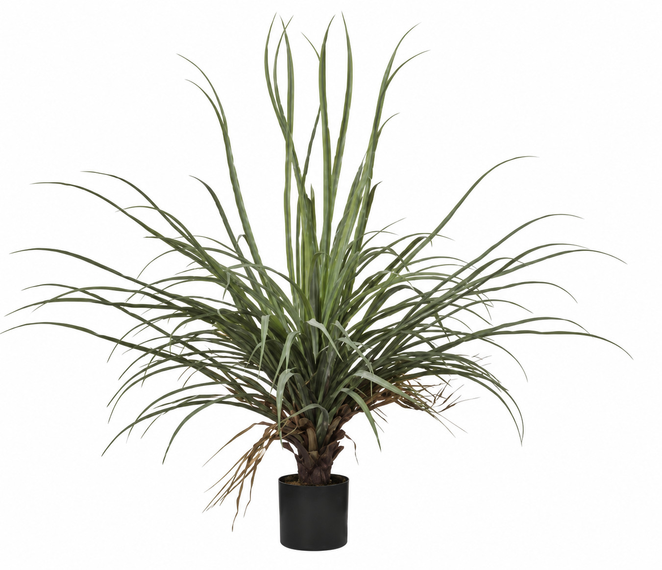 Art. Pianta Dracena Cm87 C-48 Foglie Lt.green