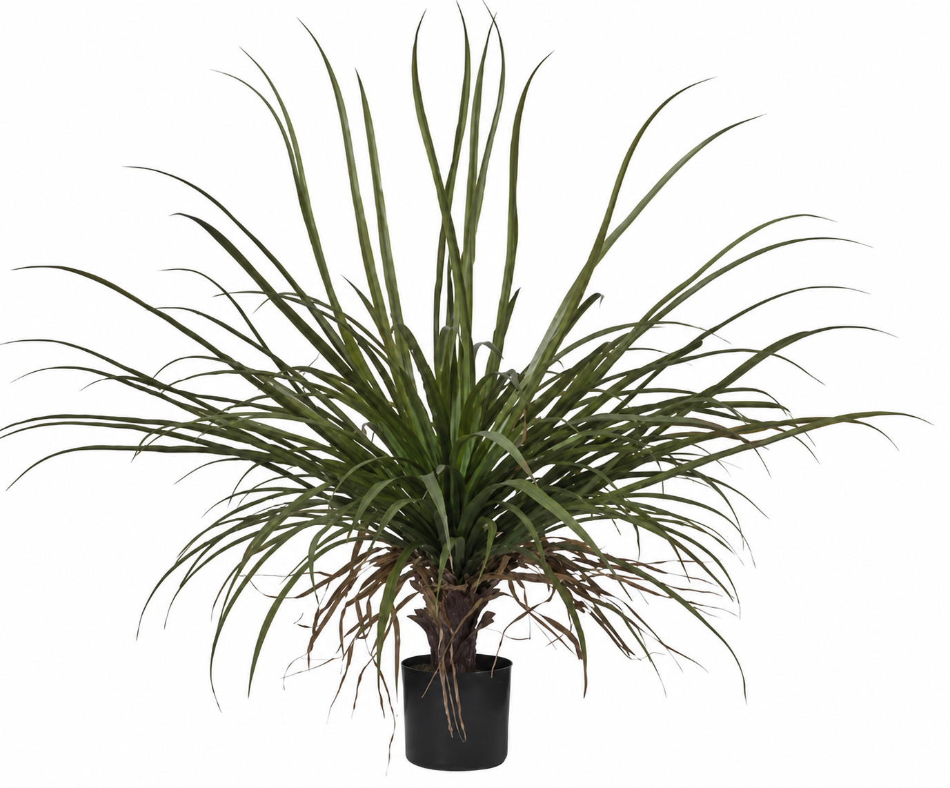 Art. Pianta Dracena Cm87 C-48 Foglie Red Green
