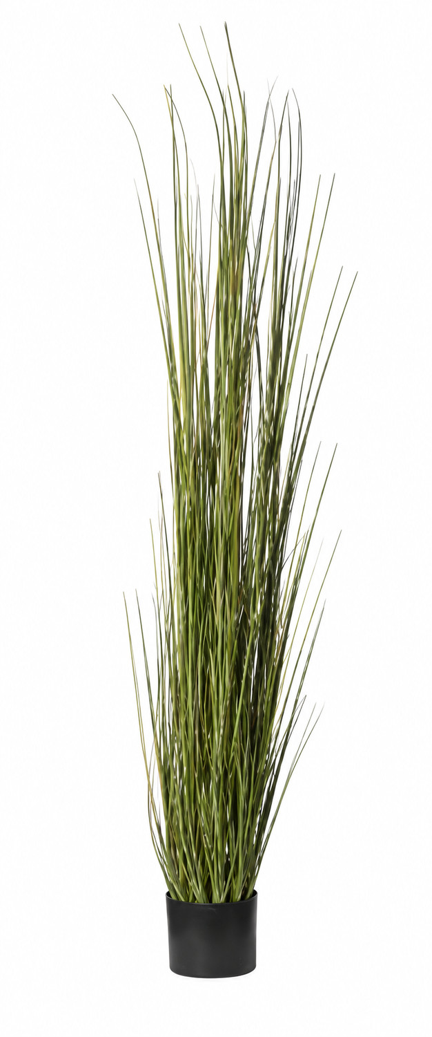 Art. Pianta Erba Cipollina 180cm In Vaso Yellow Gr