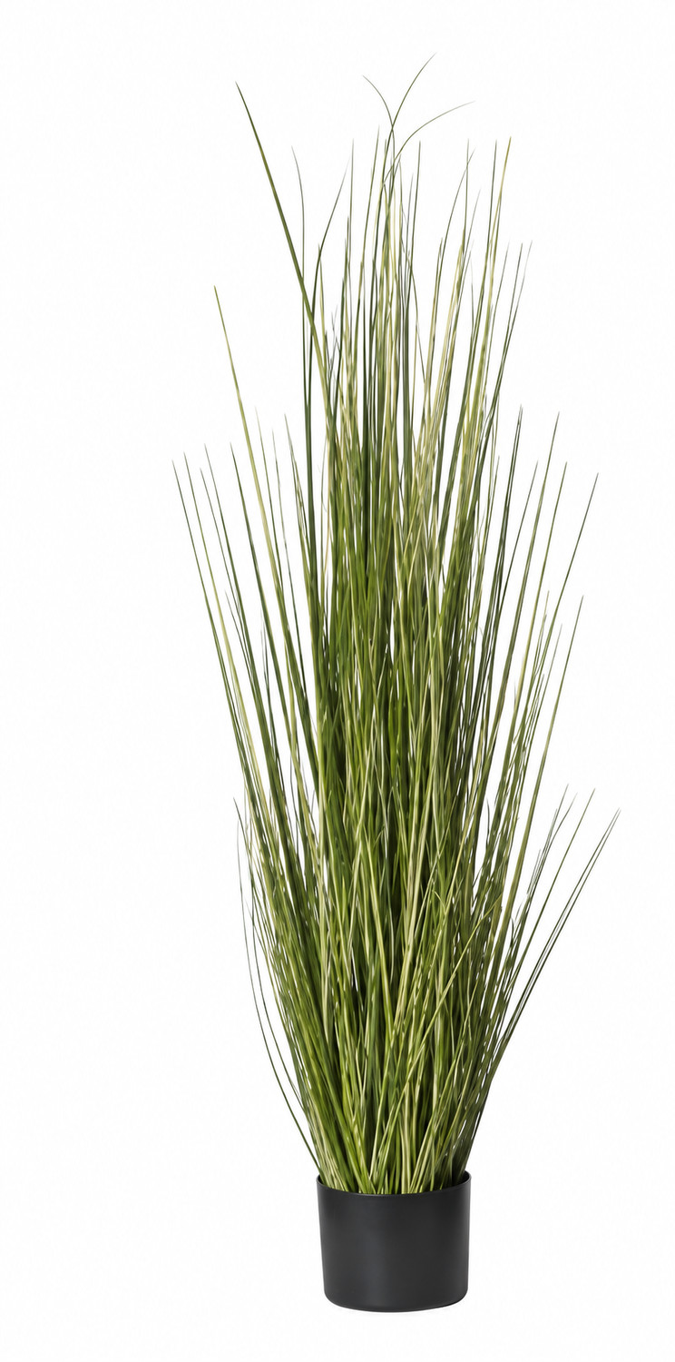 Art. Pianta Erba Cipollina Cm120 In Vaso Cream-yel