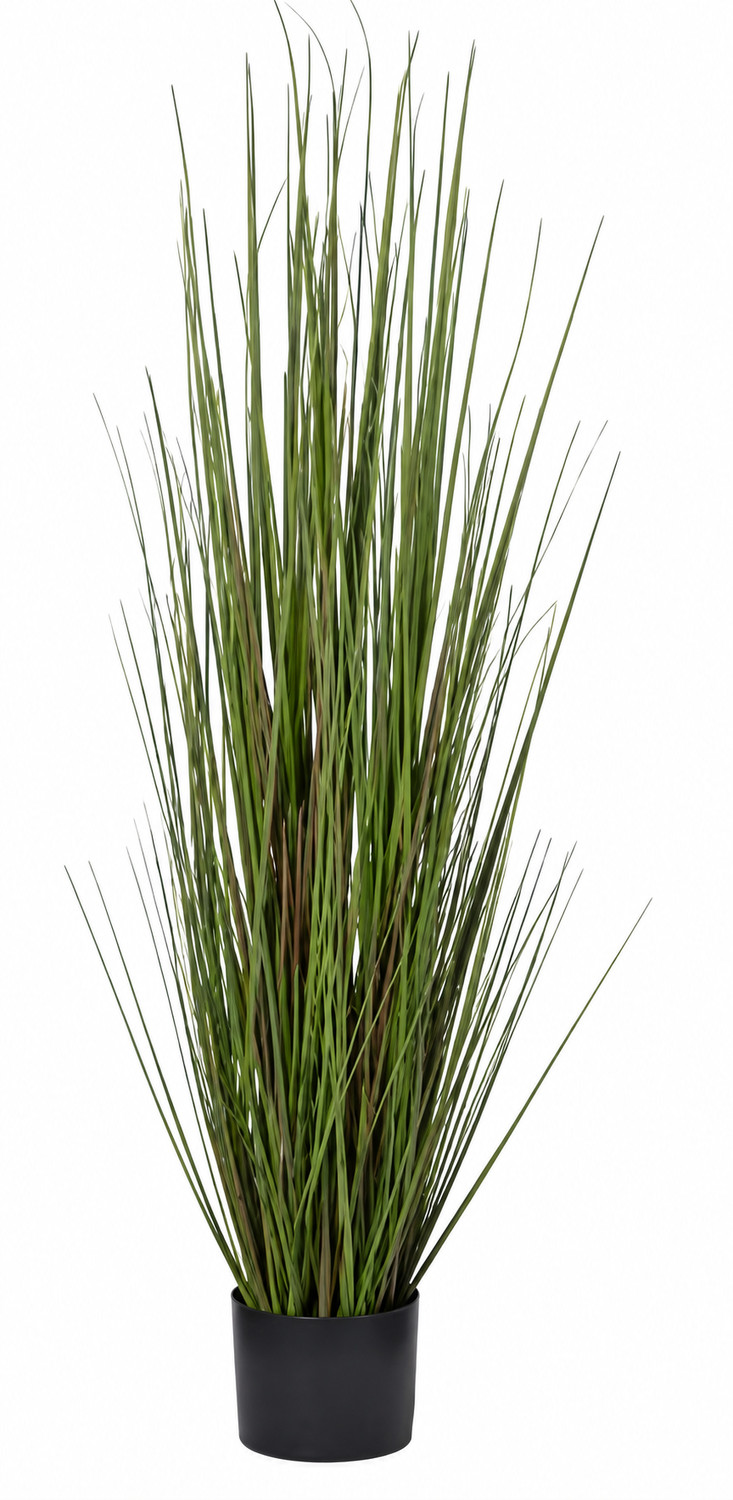 Art. Pianta Erba Cipollina Cm120 In Vaso Green