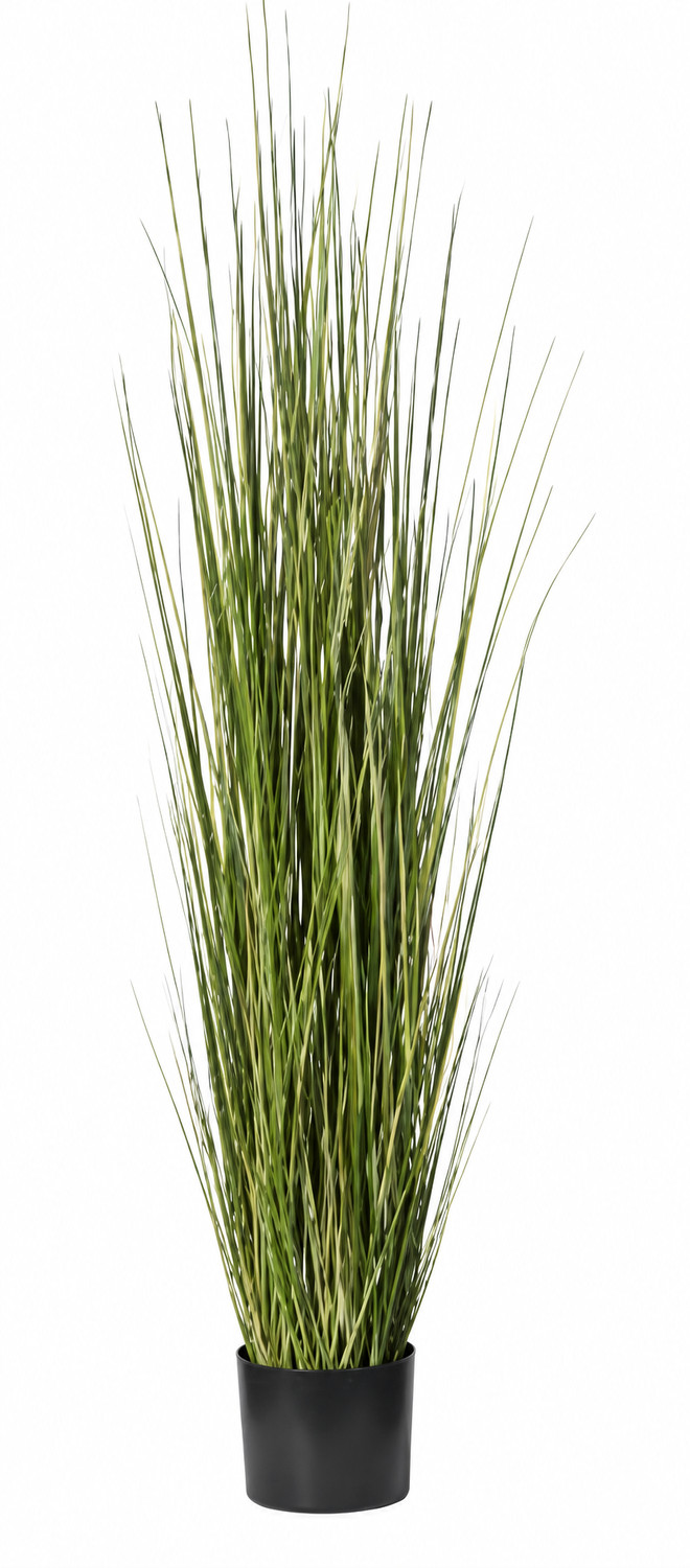 Art. Pianta Erba Cipollina Cm150 In Vaso Cream-yel