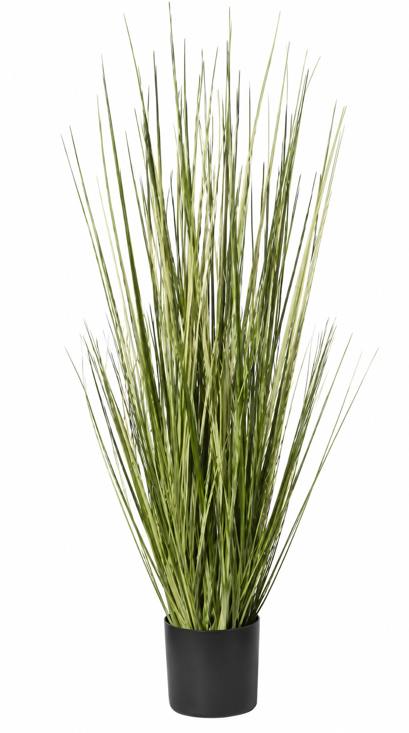 Art. Pianta Erba Cipollina Cm90 In Vaso Cream-yell