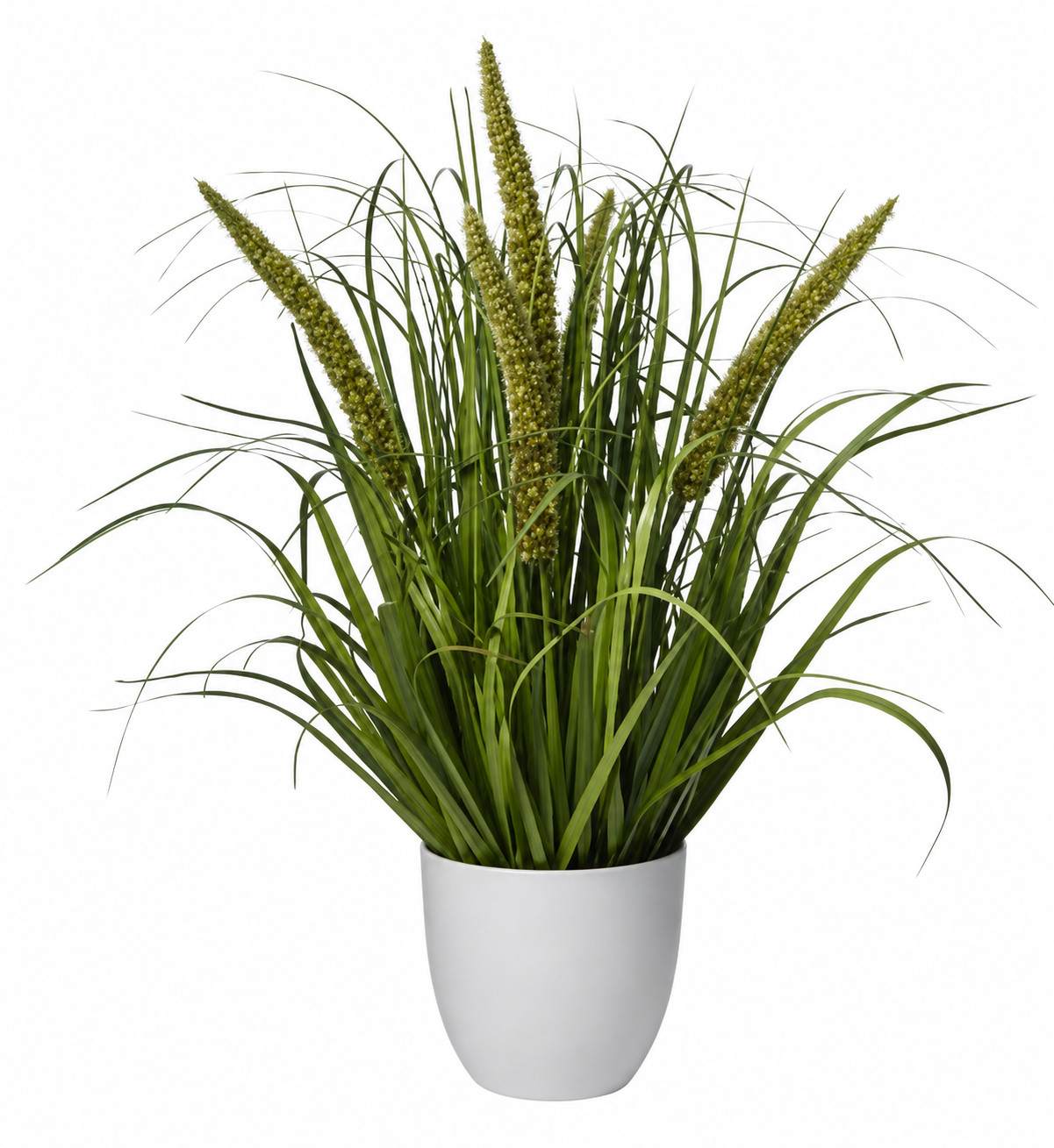 Art. Pianta Fili Erba X5 C-vaso Cm70 Green
