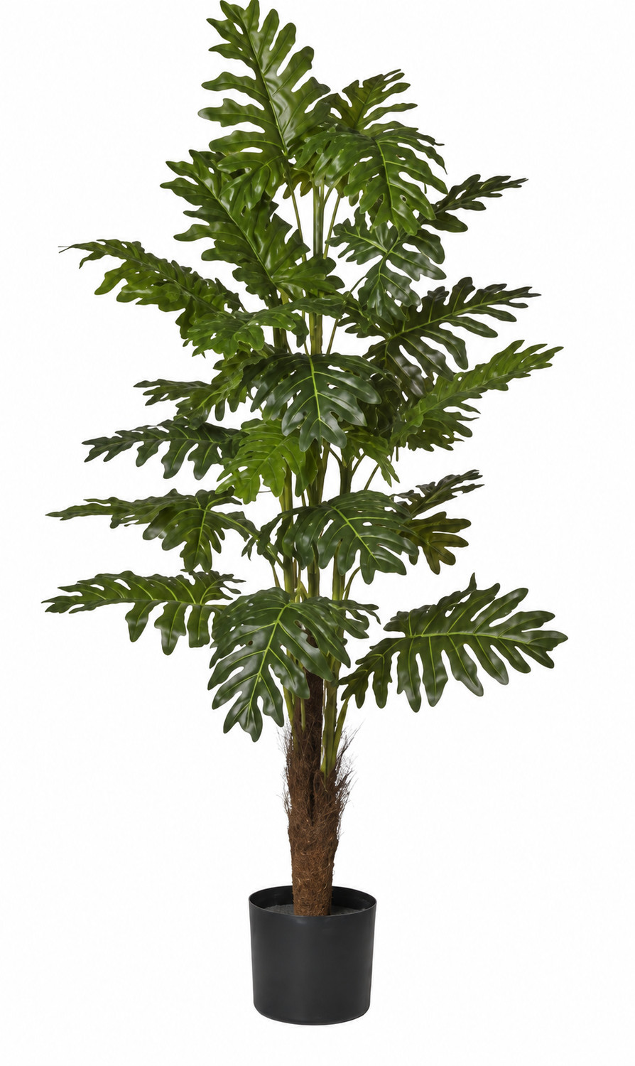 Art. Pianta Filodendro In Vaso H120cm