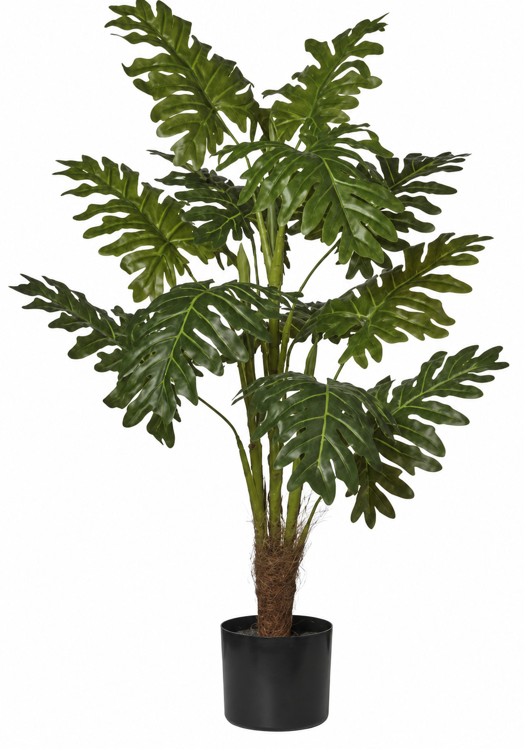 Art. Pianta Filodendro In Vaso H90cm