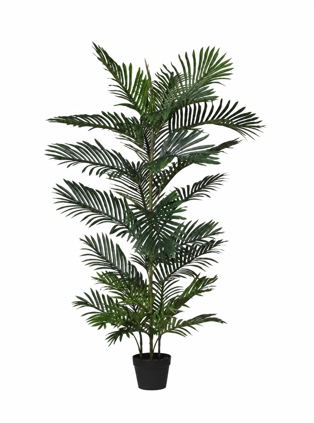 Art. Pianta Kenzia X4 C-vaso Cm140