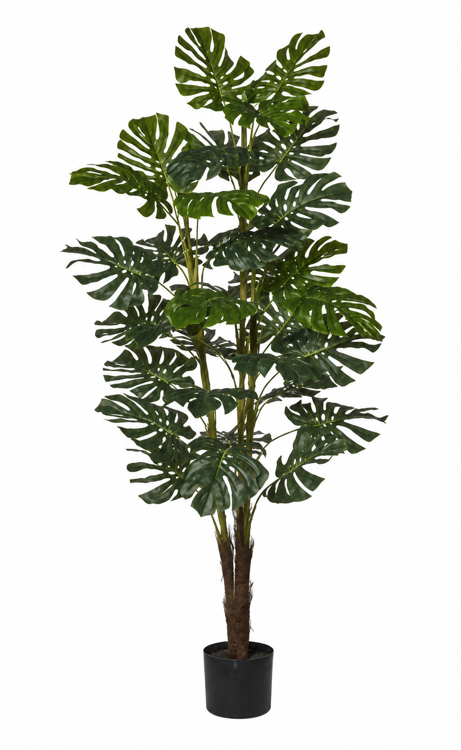 Art. Pianta Monstera X3 H160cm In Vaso