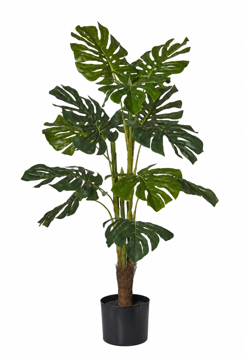 Art. Pianta Monstera X3 In Vaso H90cm