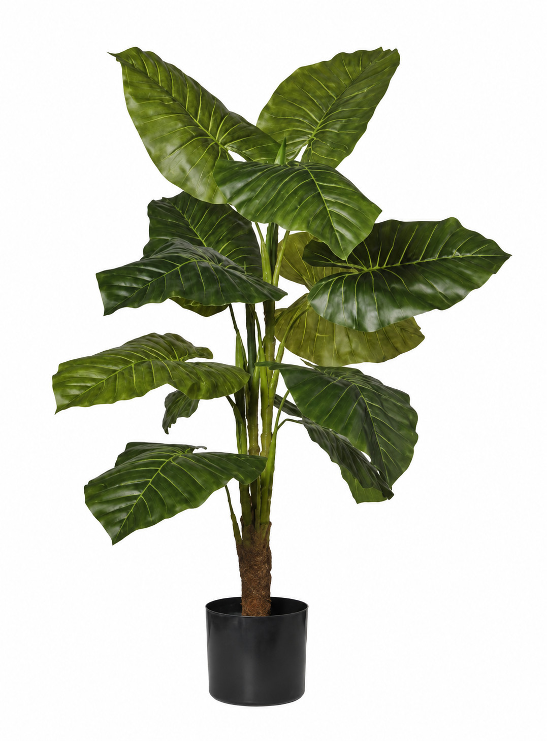 Art. Pianta Pothos X3 In Vaso H90cm