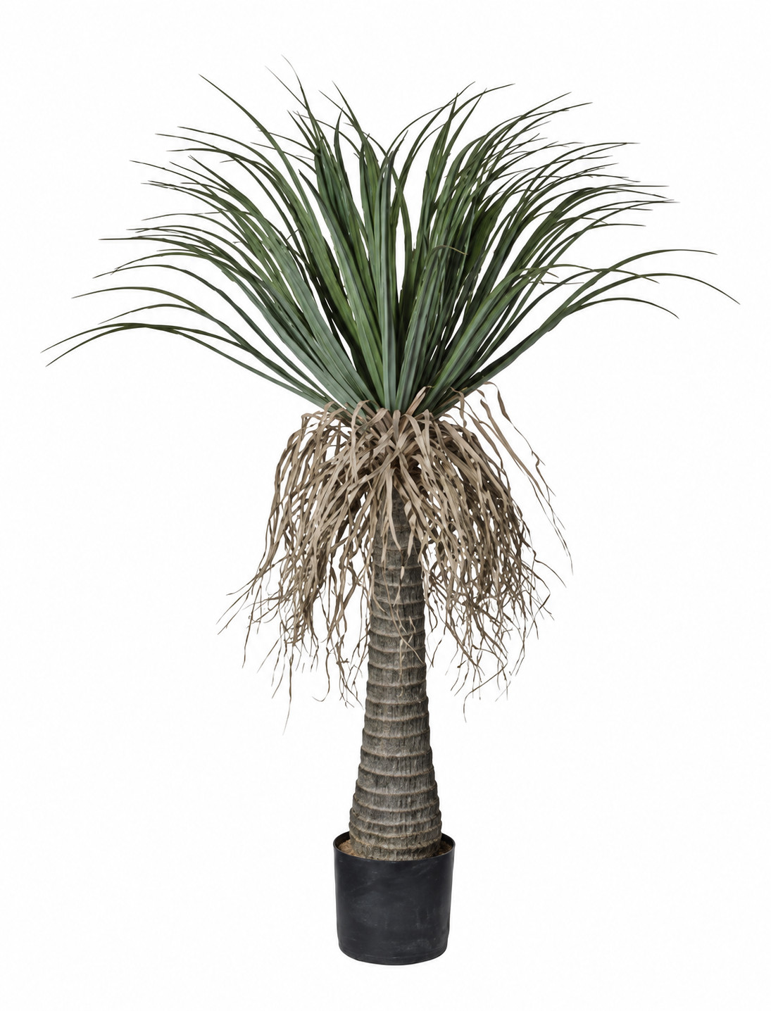 Art. Pianta Yucca Cm130 C-130 Foglie