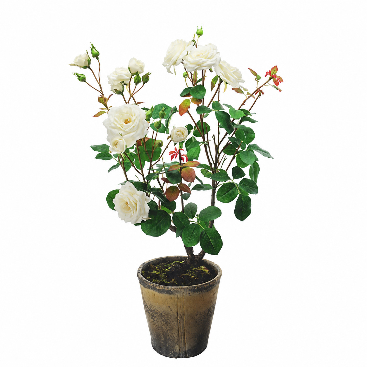 Art. Pianta Rose Con Vaso 92cm Cream
