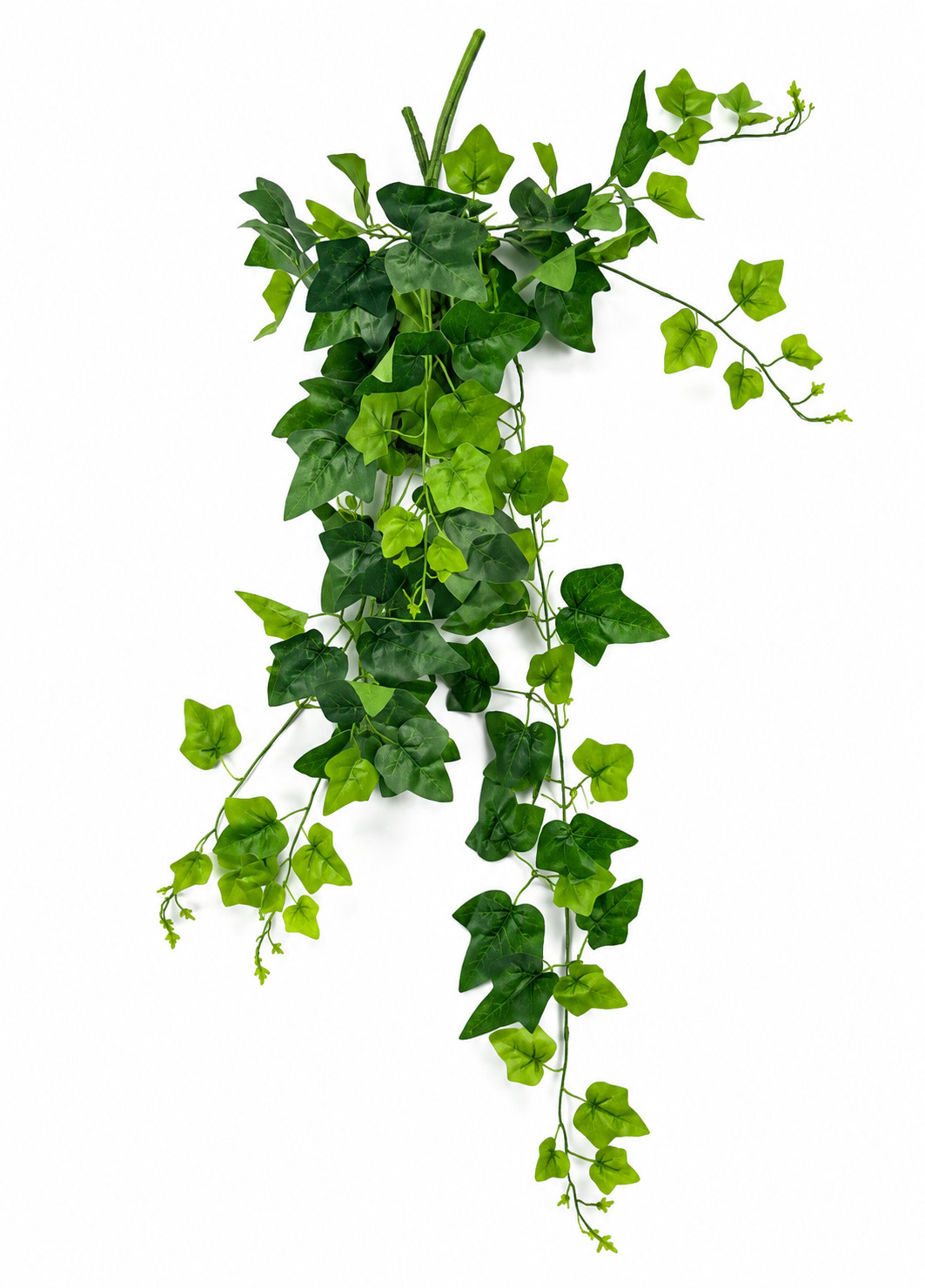 Art. Cadente Foglie 90cm Ivy Green