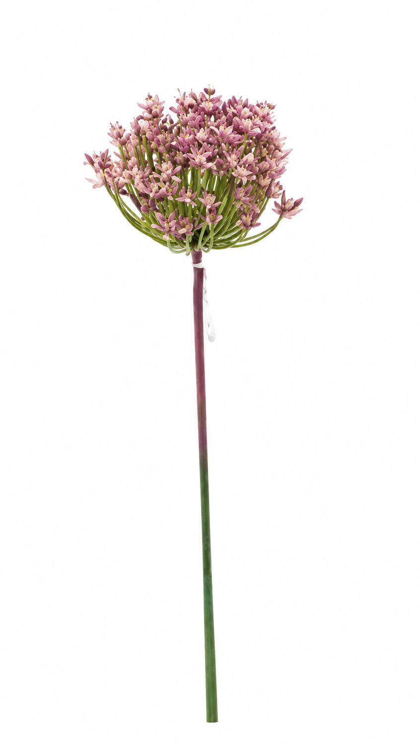 Art. Ramo Agapanthus 87cm - Pink