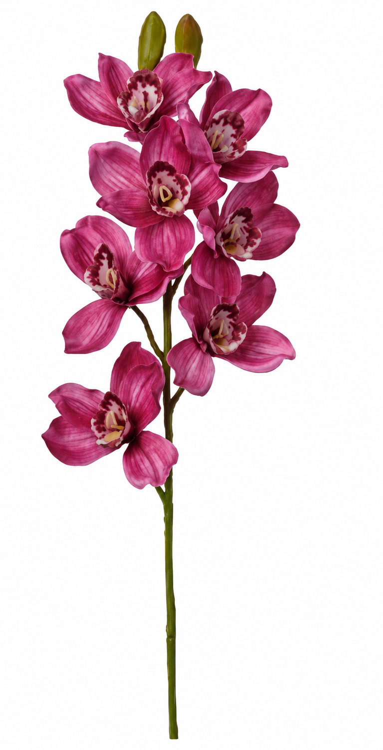 Art. Ramo Cymbidium Cm74 Beauty