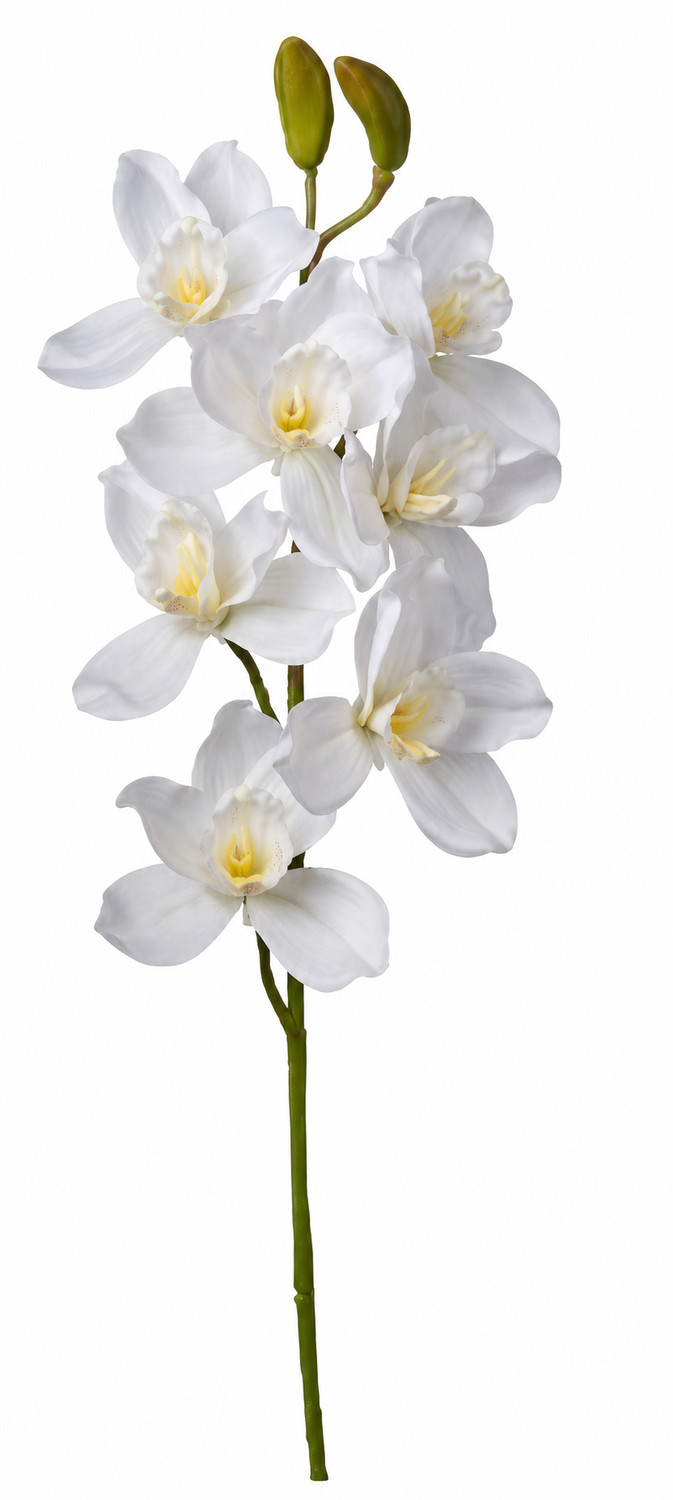 Art. Ramo Cymbidium Cm74 Cream