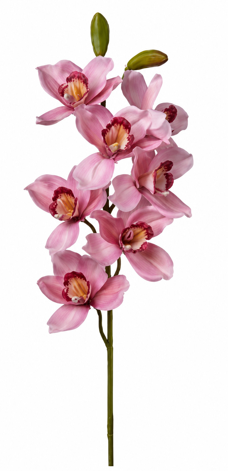 Art. Ramo Cymbidium Cm74 Pink