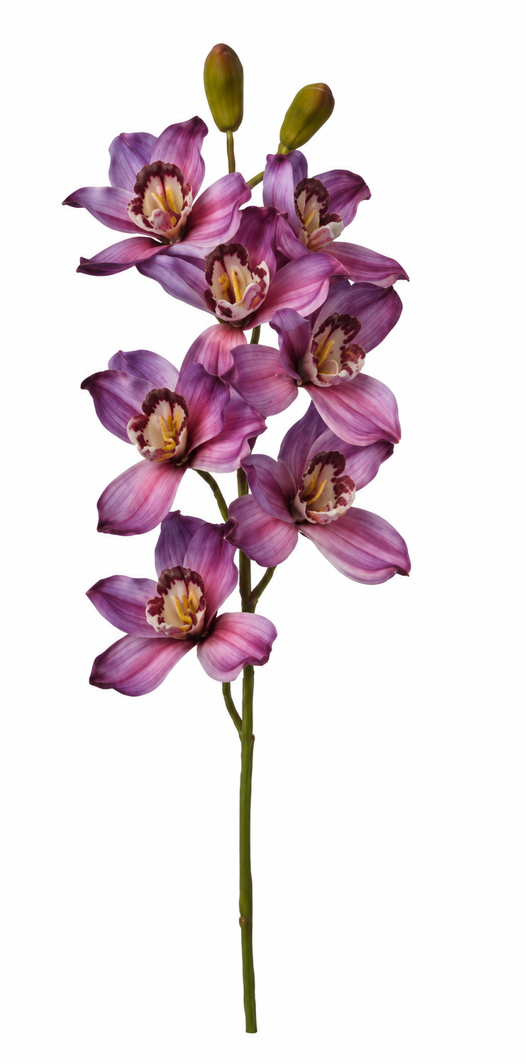 Art. Ramo Cymbidium Cm74 Purple
