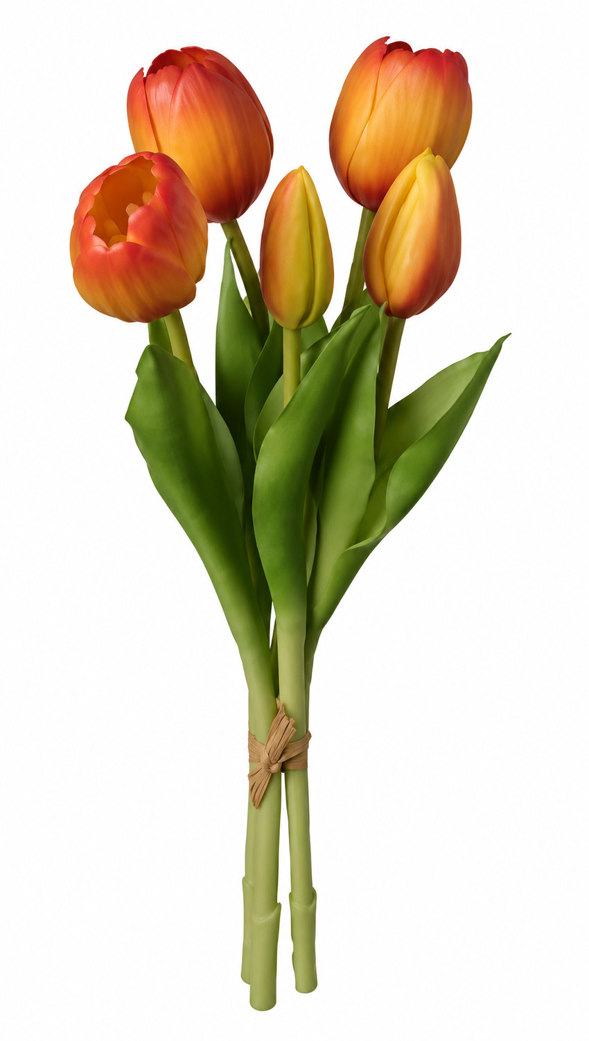 Art. Mazzo Tulipano X5 12x12x28 Orange