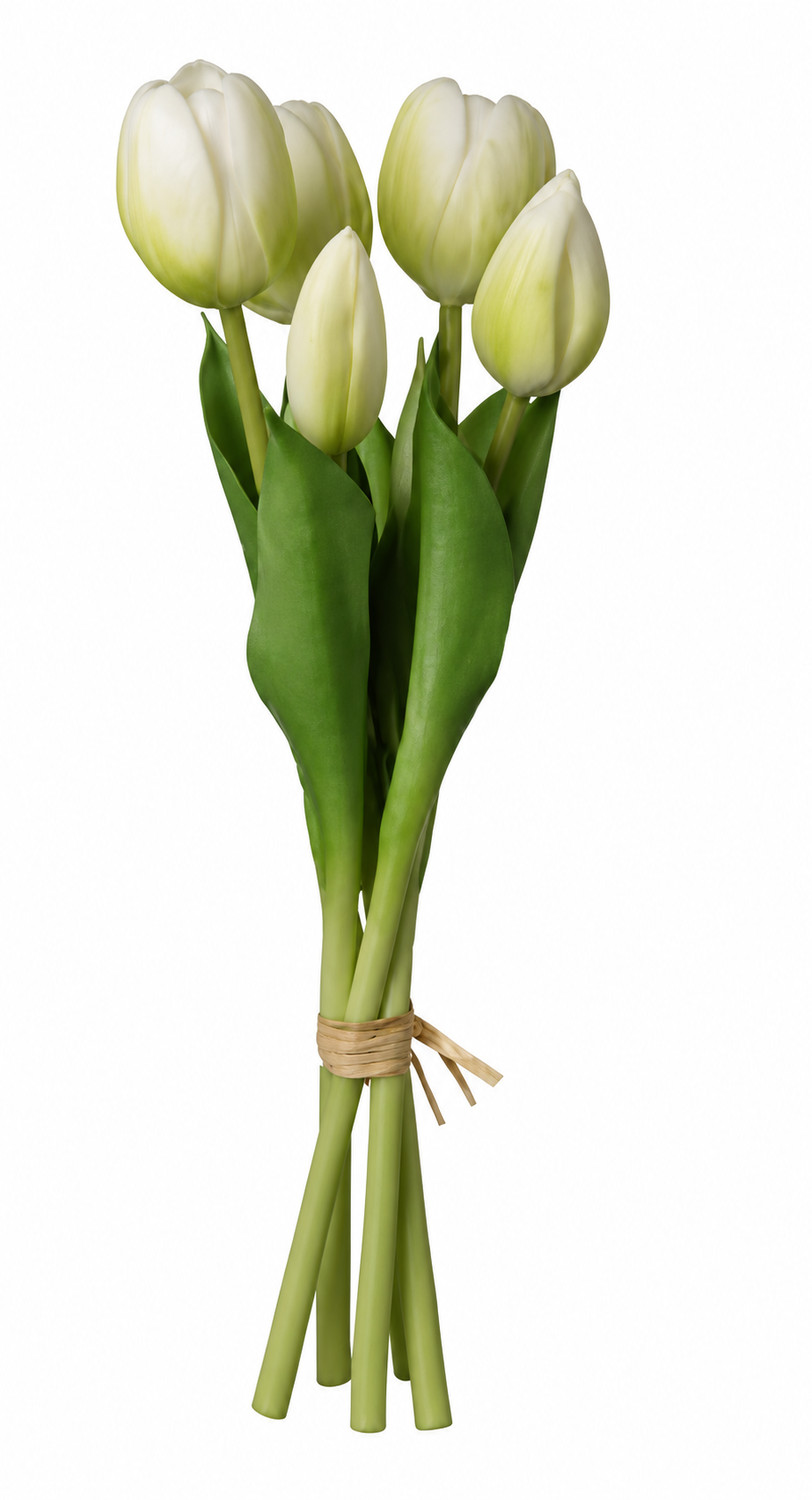 Art. Mazzo Tulipano X5 Cm12x12x28 Cream
