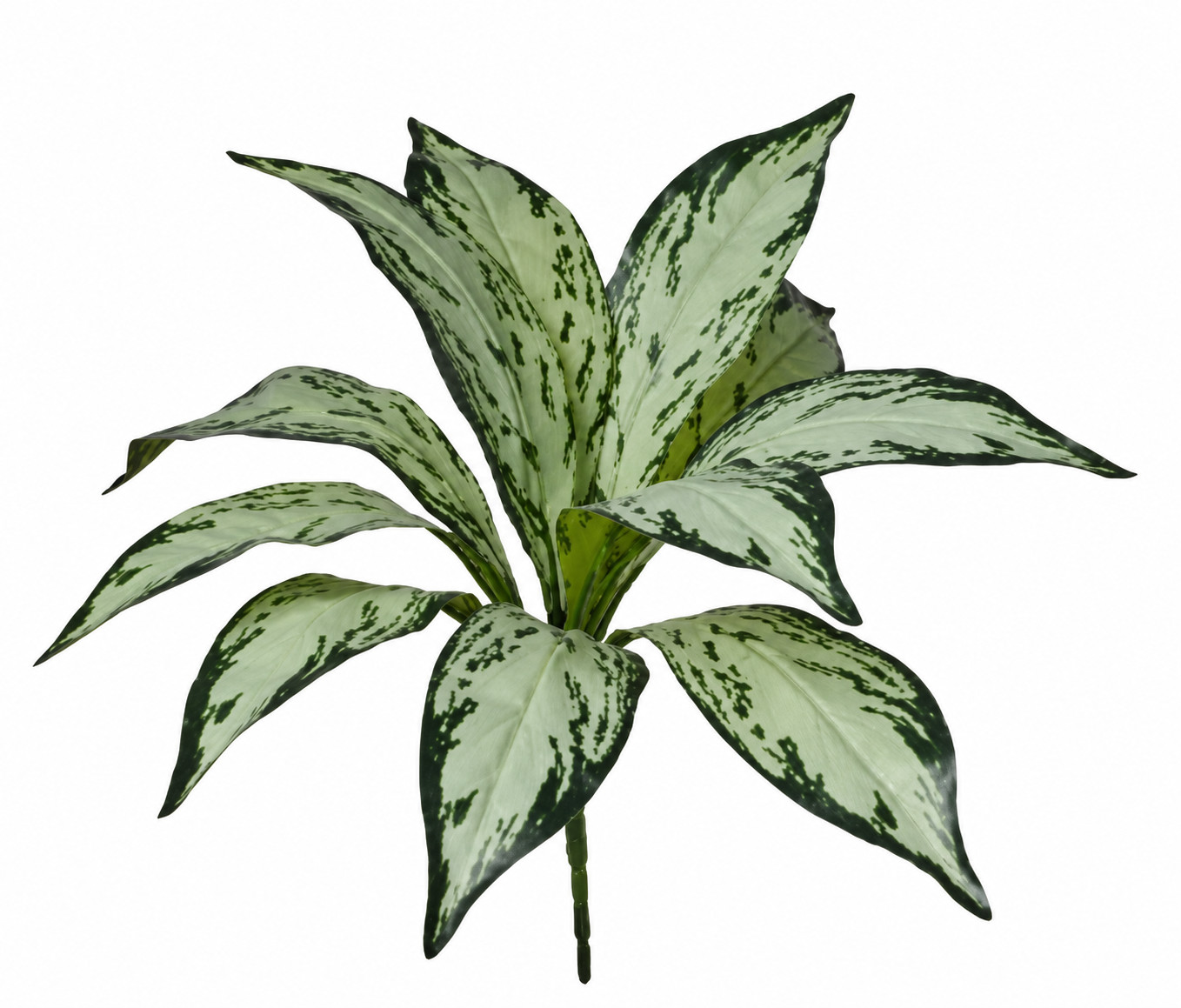 Art. Mazzo V Aglaonema X9 Cm35 Green
