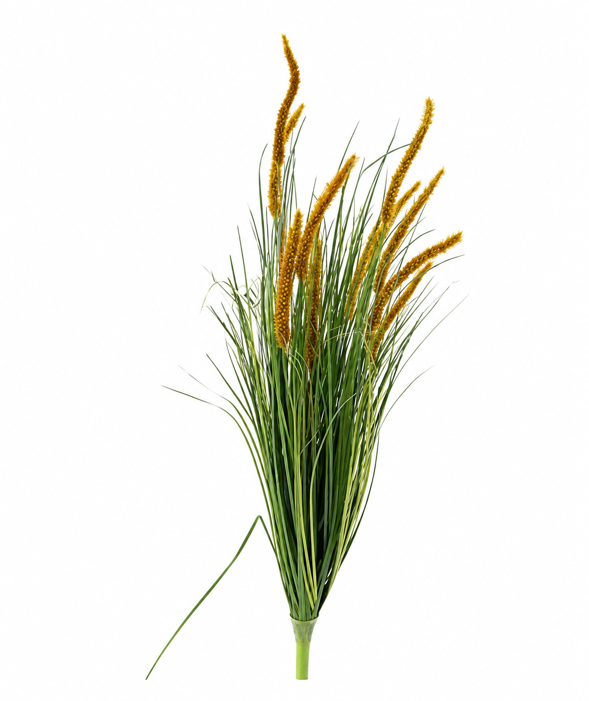 Art. Mazzo V Dogtail/onion Grass X12 100cm - Natur