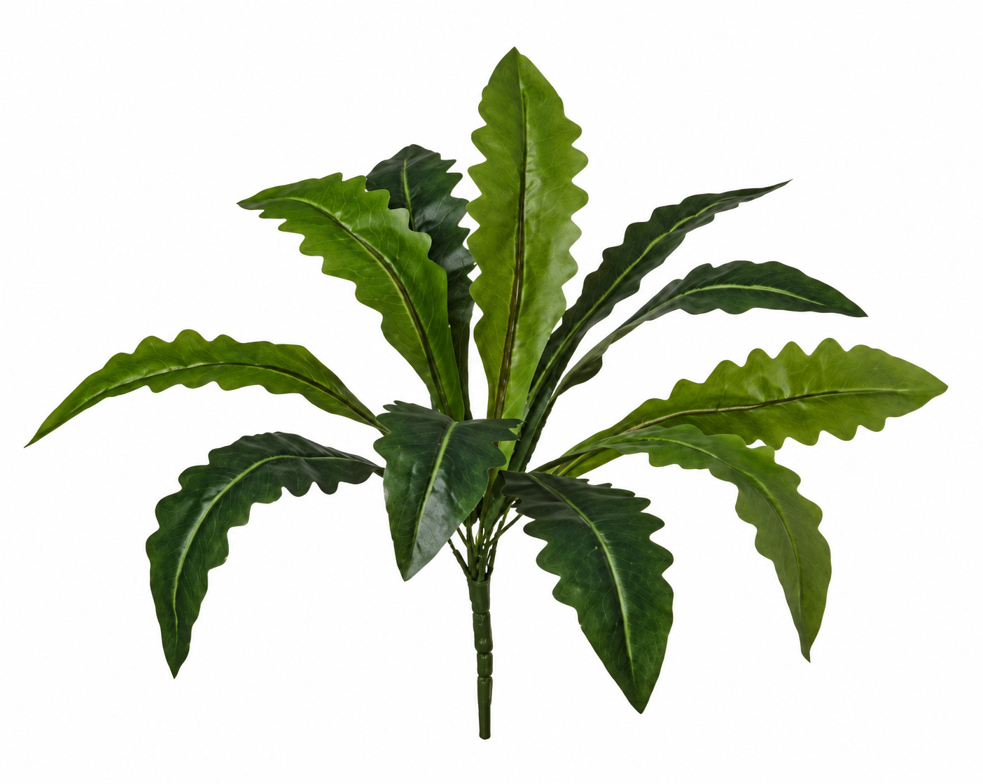 Art. Mazzo V Dracena X11 Cm37 Curve Green