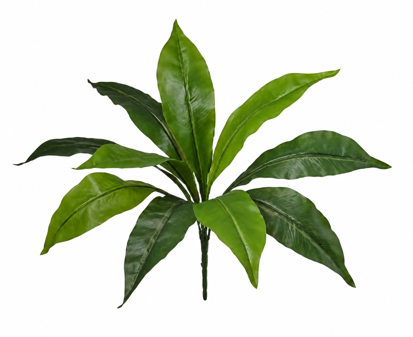 Art. Mazzo V Dracena X11 Cm40 Green