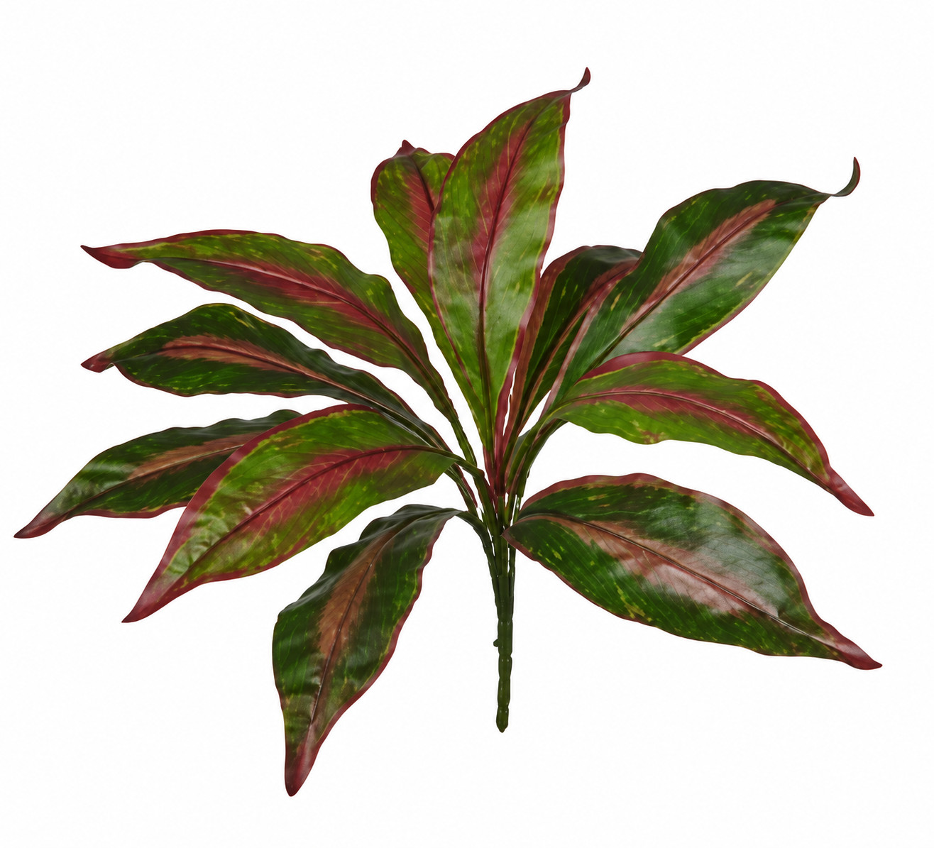 Art. Mazzo V Dracena X11 Cm40 Green W-red Edge