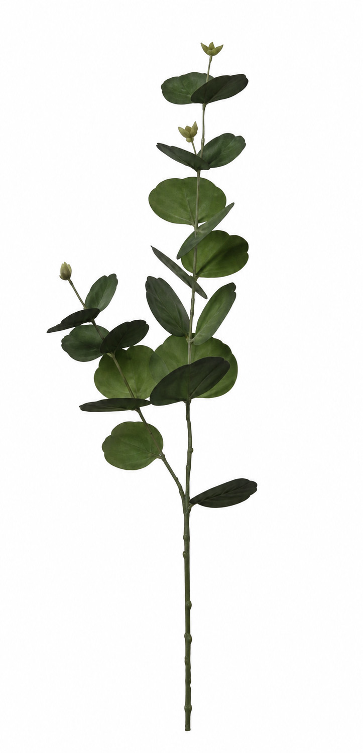 Art. Ramo Eucalipto X2 Cm13x13x75 Lt.green