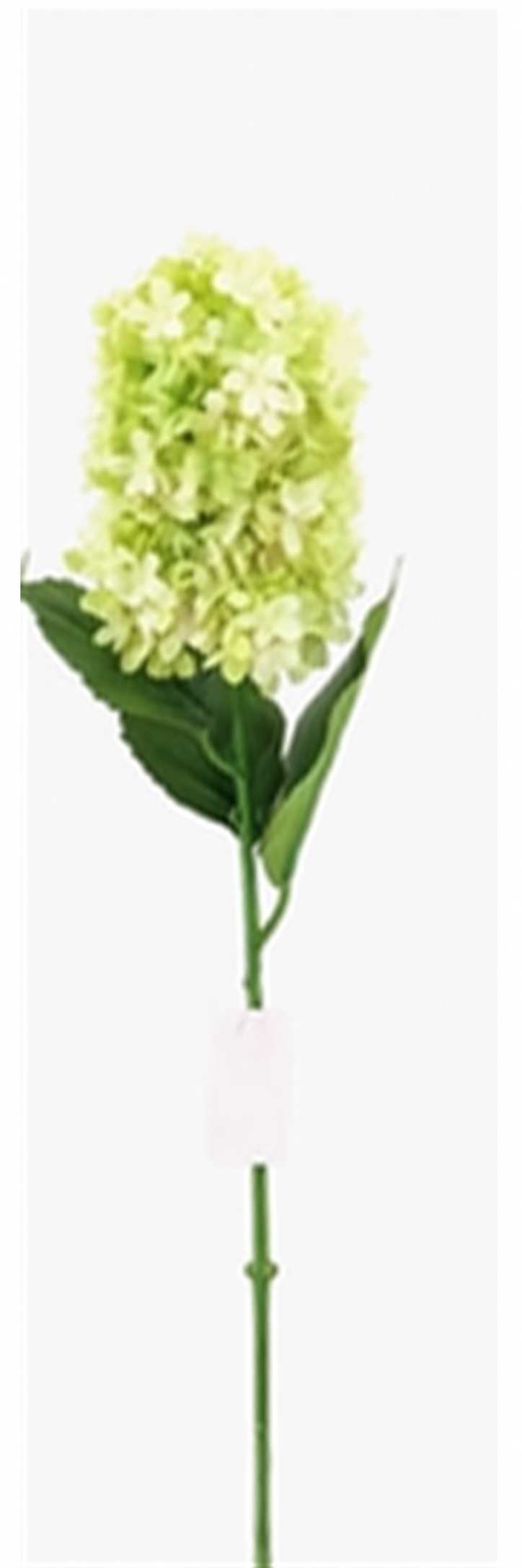 Art. Ramo Ortensia 85cm - Green