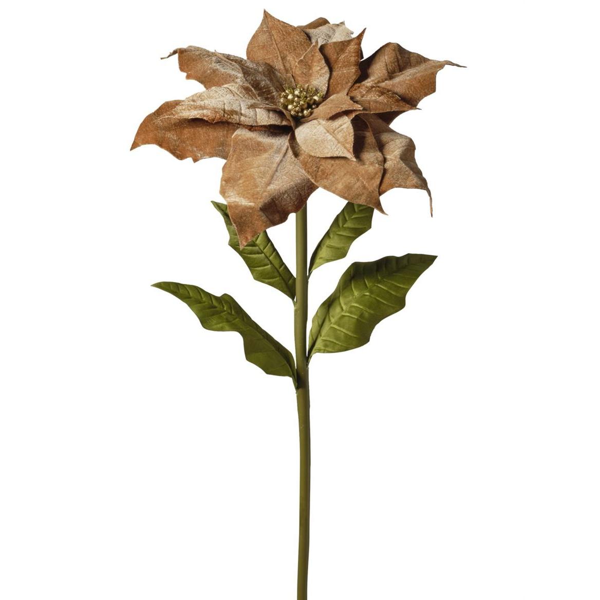 Xmas. Ramo St.natale Velluto 55x55x135cm - Tan